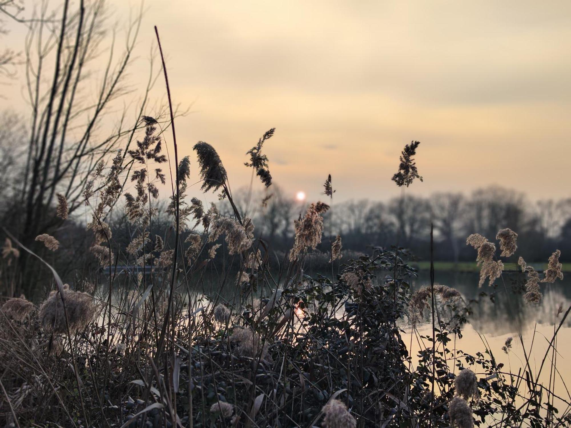 Domaine De La Roseliere • Nature • Brenne Rosnay  Exterior photo